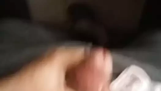 wwikka