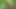 Daddy Getting Fucked in the Forest