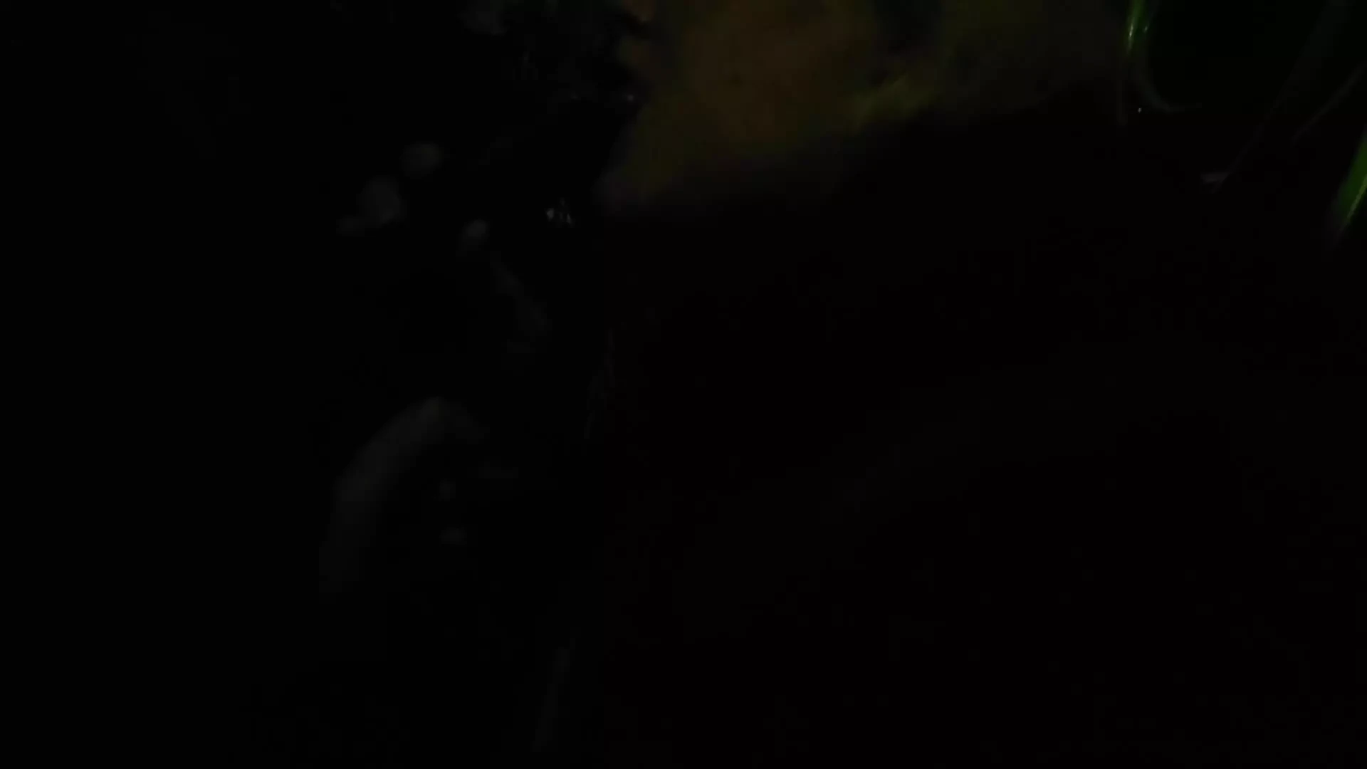 Sucking His Cock Outside