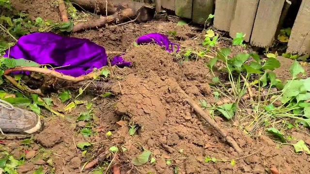 Purple Cache Dress Gets Buried
