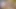 Teen boy walk in forest half naked , fishnets tease