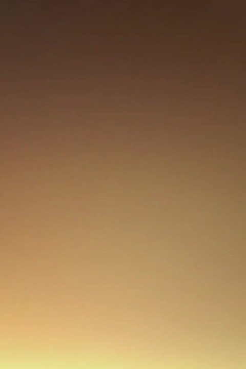Penis keras dan penuh keinginan