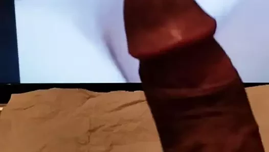 kedi kedi