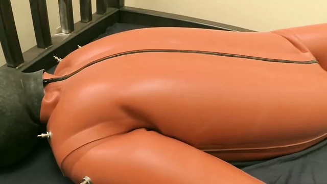 Gym Suit
