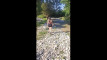Pregled videozapisa