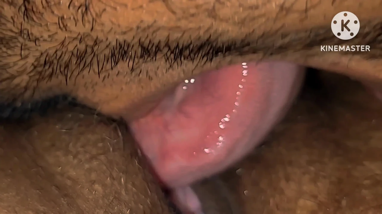 BHABHI'S JUICY AND HAIRY PUSSY LIPS SUCKING AND LICKING