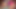 Sweet Teen Girl First Time Anal👌 With Pink Panties Thick🌭 POV