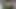 Ayakkabıyı ne yapacaksın?