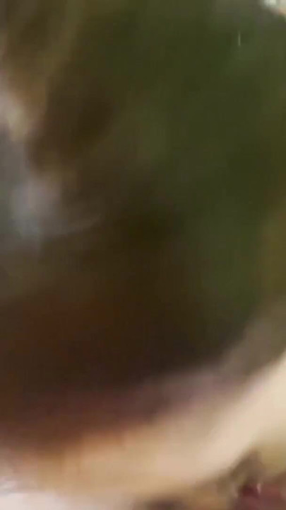 Homemade anal sex with a cute Asian stepsister. I made her asshole huge and came in her innocent mouth | Clip 2