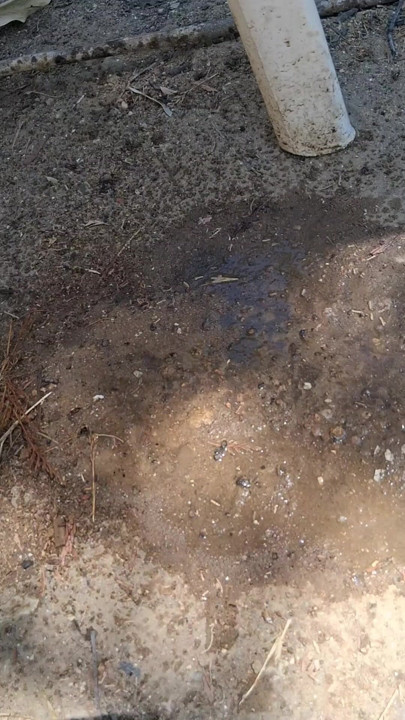 Pissing outdoors