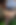 Huge Big head dildo in my asspussy