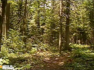 Quatre jumelles se font sodomiser intensément dans la forêt pendant que deux autres regardent