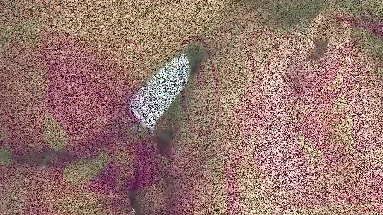 Two slut vs two hard dicks