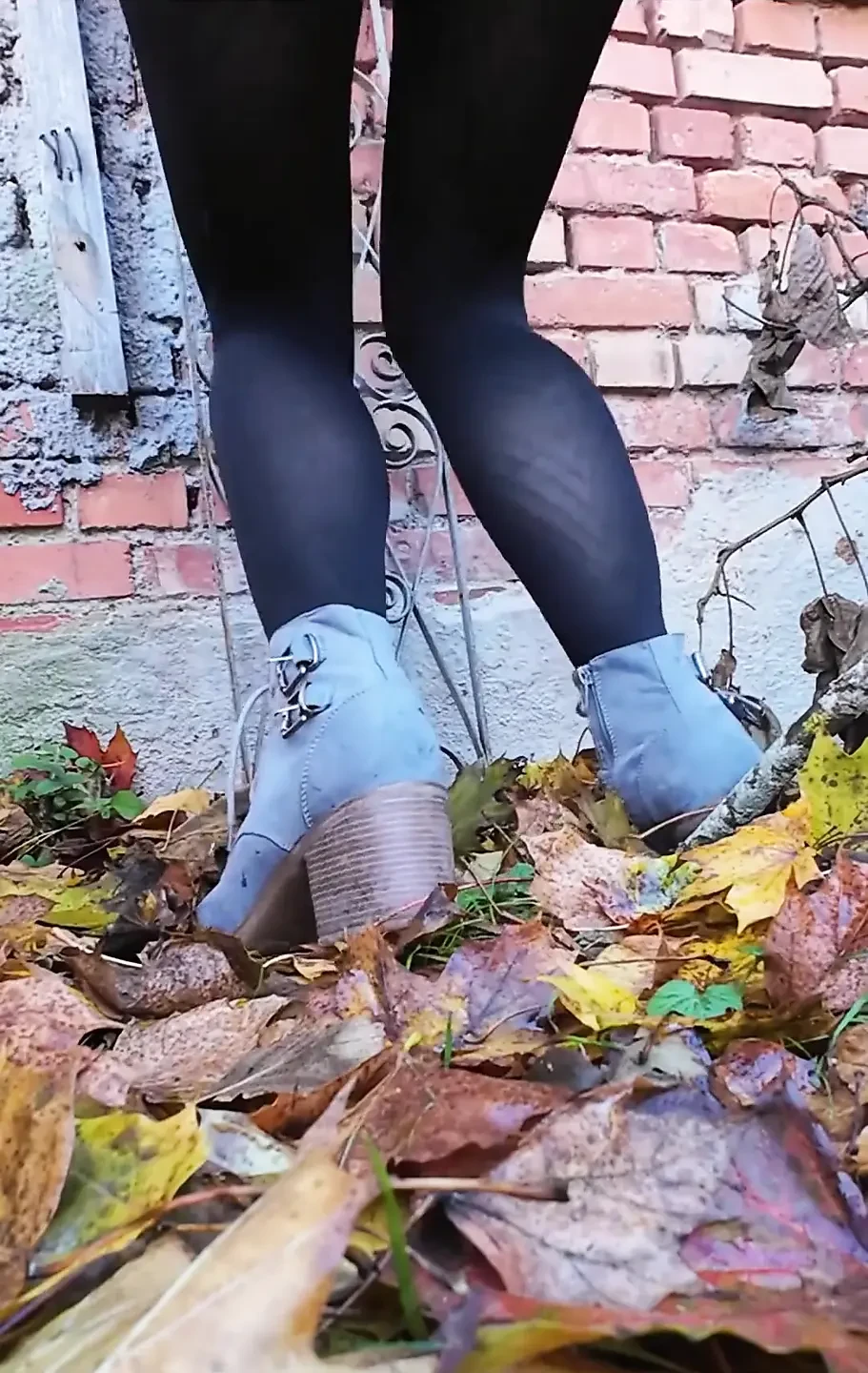 A Beautiful Autumn Day