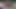 Sativa gül ve saana küçük seks kitten