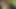 German slut tied up in the woods by sex master
