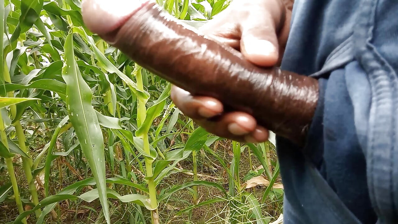Makka ke khet me oil se malish apne lambe land ki
