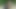 彼女のためにゴムコックStraponを吹く