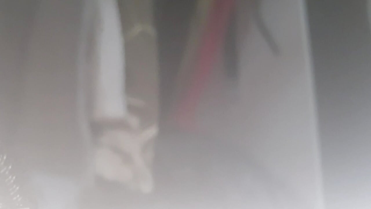 Meu amigo guardou uma surpresa que eu nunca teria imaginado