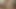 Interracial trans anal sex