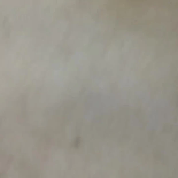 Homemade Hot Nipple Tiny Pussy Licked Out of Sexual Desire