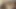 asstoy assfucking moaning bondage exhibitionist cumshot
