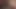 Jerking twice on video my lovely Brandy Talore