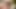 Colossal BBW Erin Green Shoves a Dildo Up Her Fat Pussy