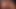 Chatroom Sluts 4