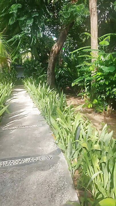 A lil slice of Paradise - Caribbean joy and delights
