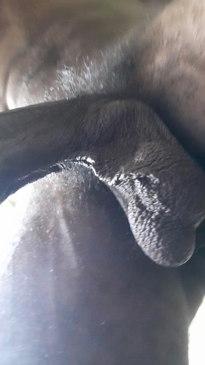 Did you saw the crumbs on my body ? Clean me this !
