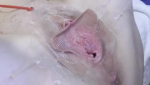 3 Menjilati Vagina Menyebar Jauh Dari Sangat Dekat