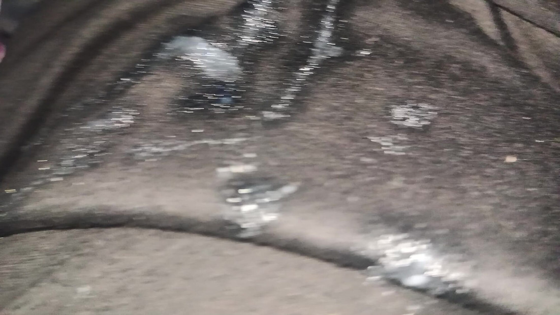 裤子里的酱汁