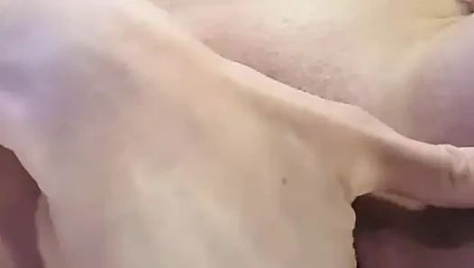 Istri ngomong kotor muncrat tiga kali di panggilan video