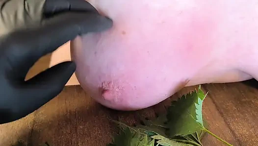 Isırgan otu içindeki çıplak memeler - sonra sert vurdu