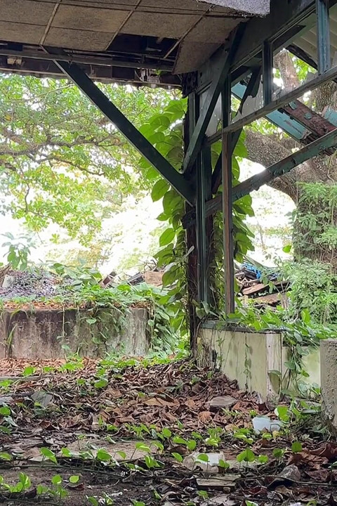 Public Jerk off and Dildo Play in Abandoned Build