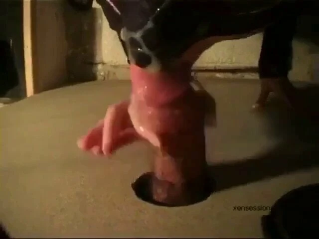 Gloryhole slut