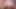 hot furry girls big boobs in magic forest (Ai models)