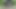 Asked my mother-in-law to cum in her dirty panties in the park