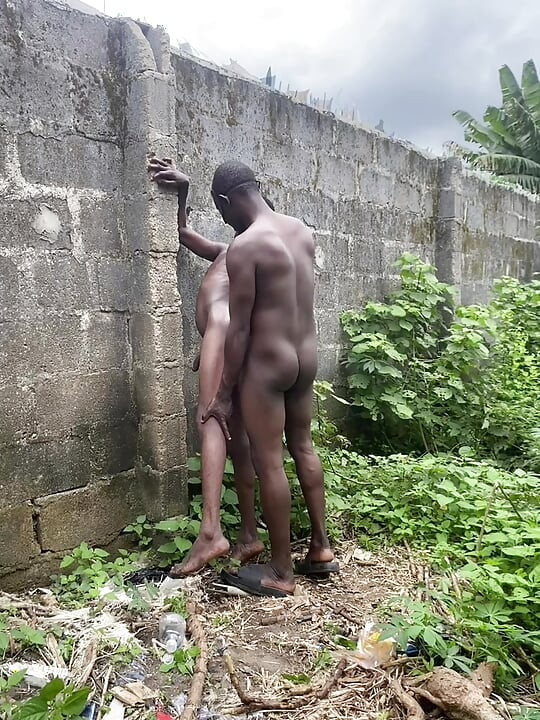 Bush Fucking Section