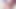 健康な男とワイルドな巨尻の3d少女18+