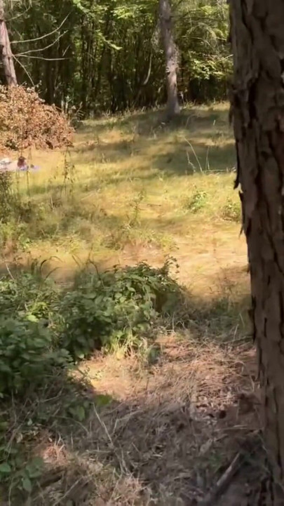 Cumshot flash for a girl tanning at the sun | Clip 1