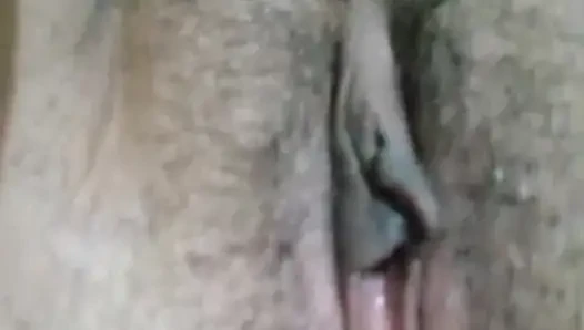 Close-up pussy