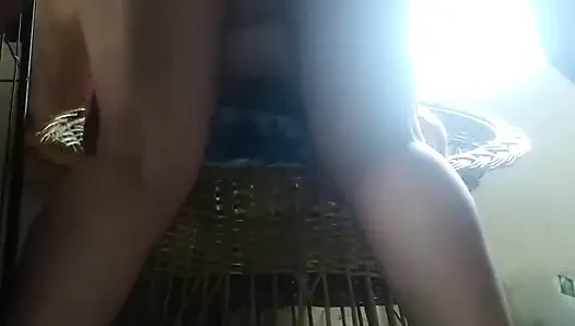 Küçük evcil hayvan sikilmek için dört ayak üstüne çıkıyor