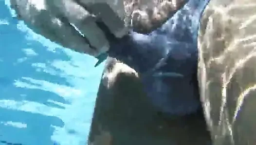havuzda dino moci