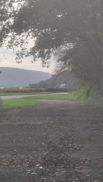 Maidstonenaked man in aquiet layby in Wales.