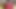 Onlyfans Model Gets Creampied in Yoga Pants