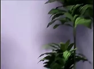delfynn delage double anal again