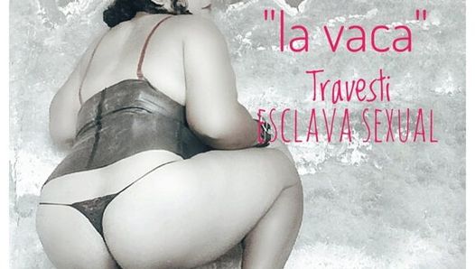 Conoce a tu gorda travesti elizabeth y su extremo anal