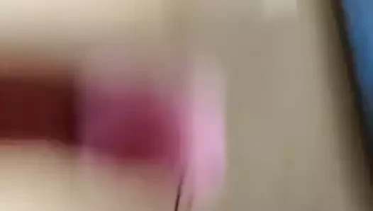 for maialinacp
